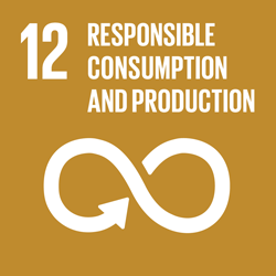 Nachhaltiger Konsum und Produktion - Goal 12